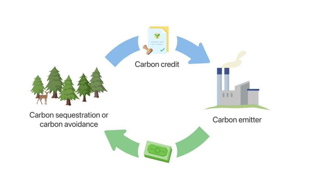 mua bán tín chỉ carbon